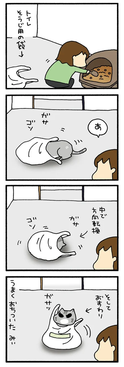 おちつくみぃ