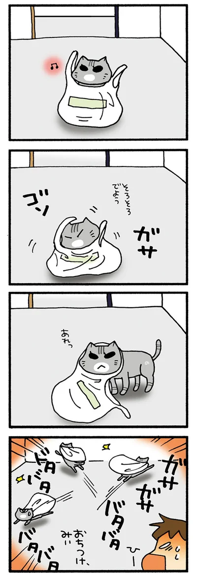 おちつけみぃ