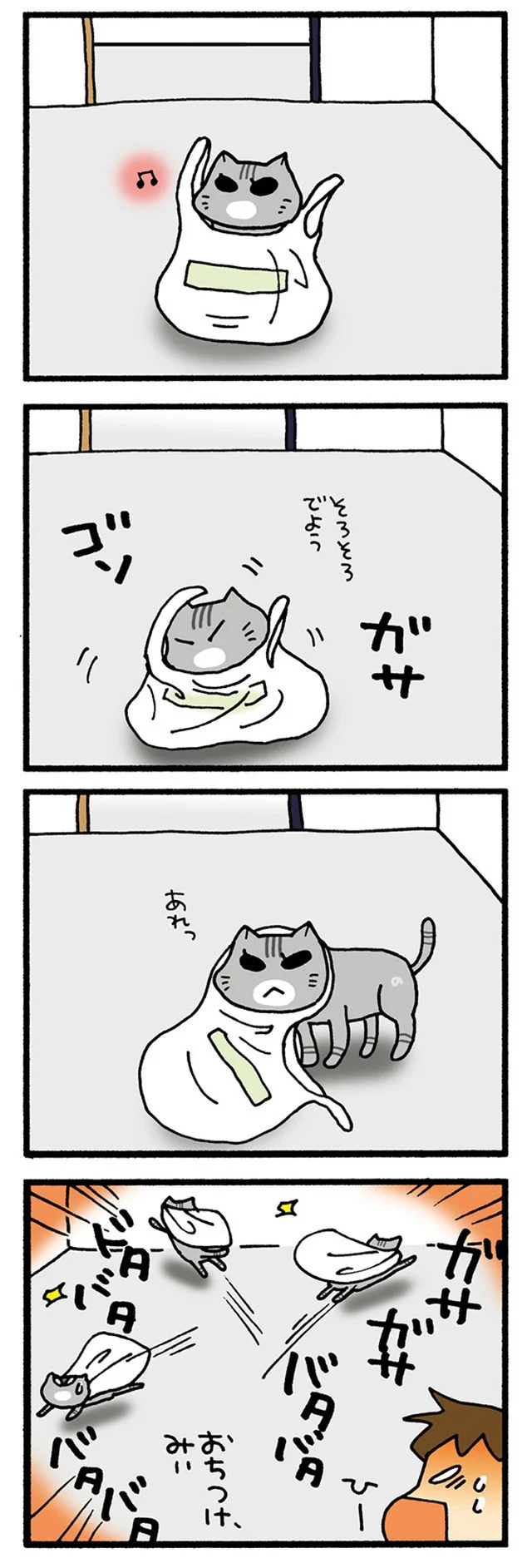 おちつけみぃ