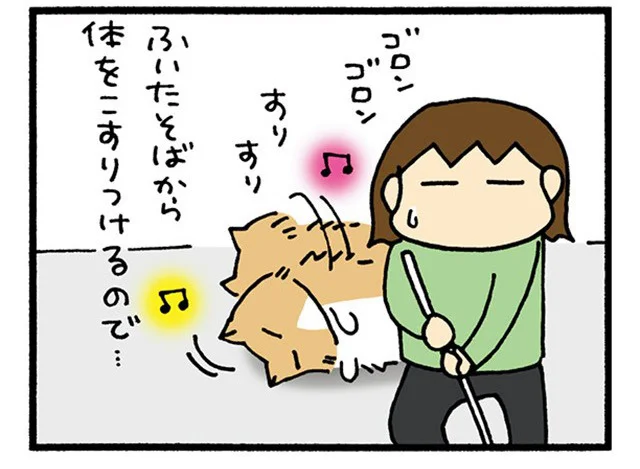 ふいたそばから…