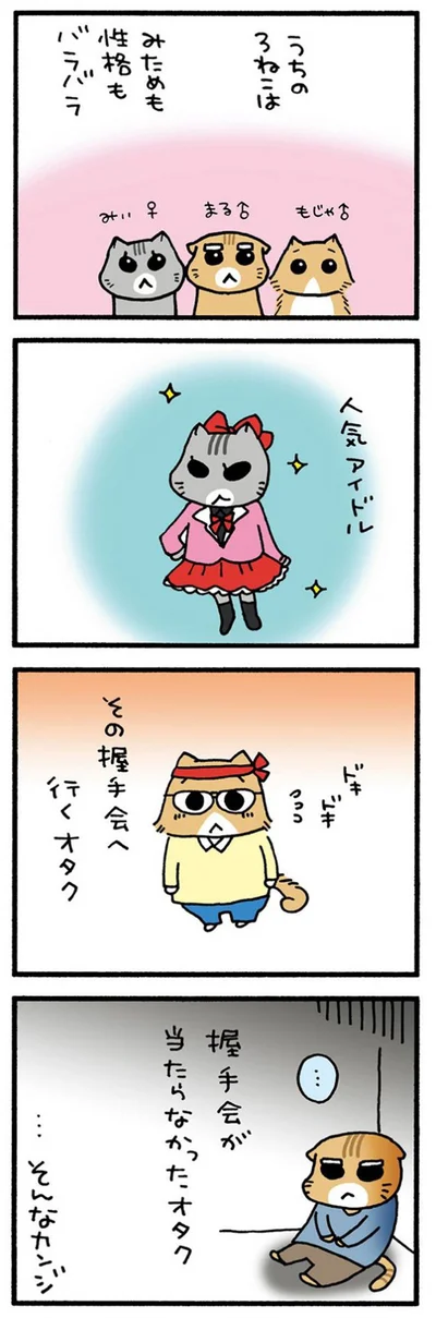 うちの3ねこ
