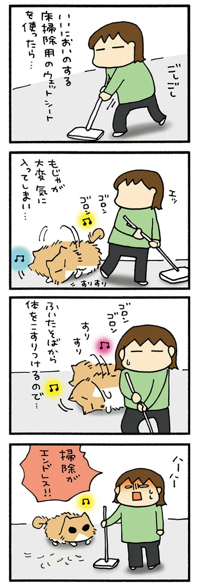 終わらない掃除