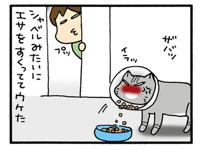 すくっててウケた