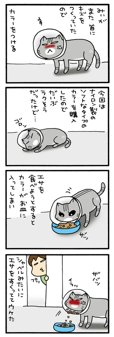 すくっちゃうみぃ