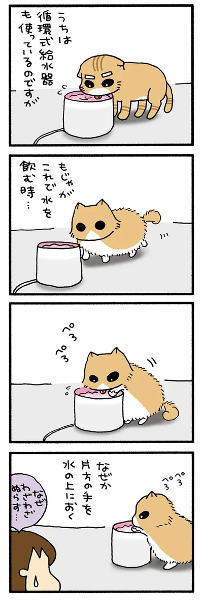 手をのせちゃうもじゃ