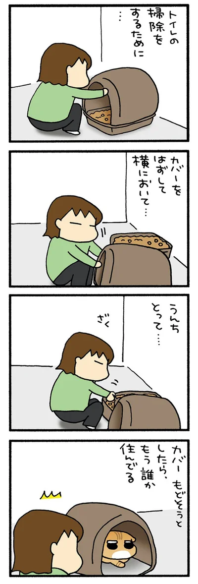 入っちゃうまる