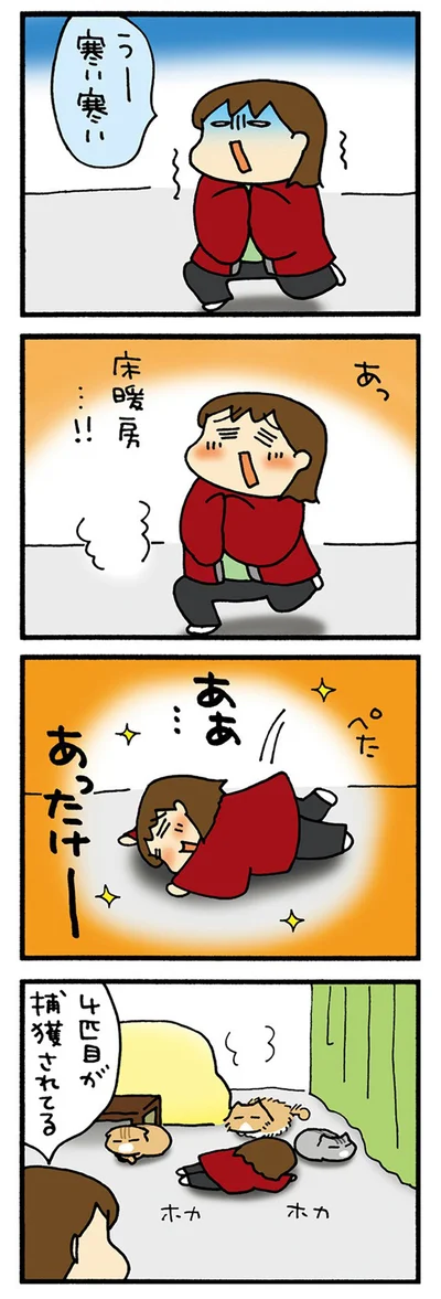 床暖房に集合