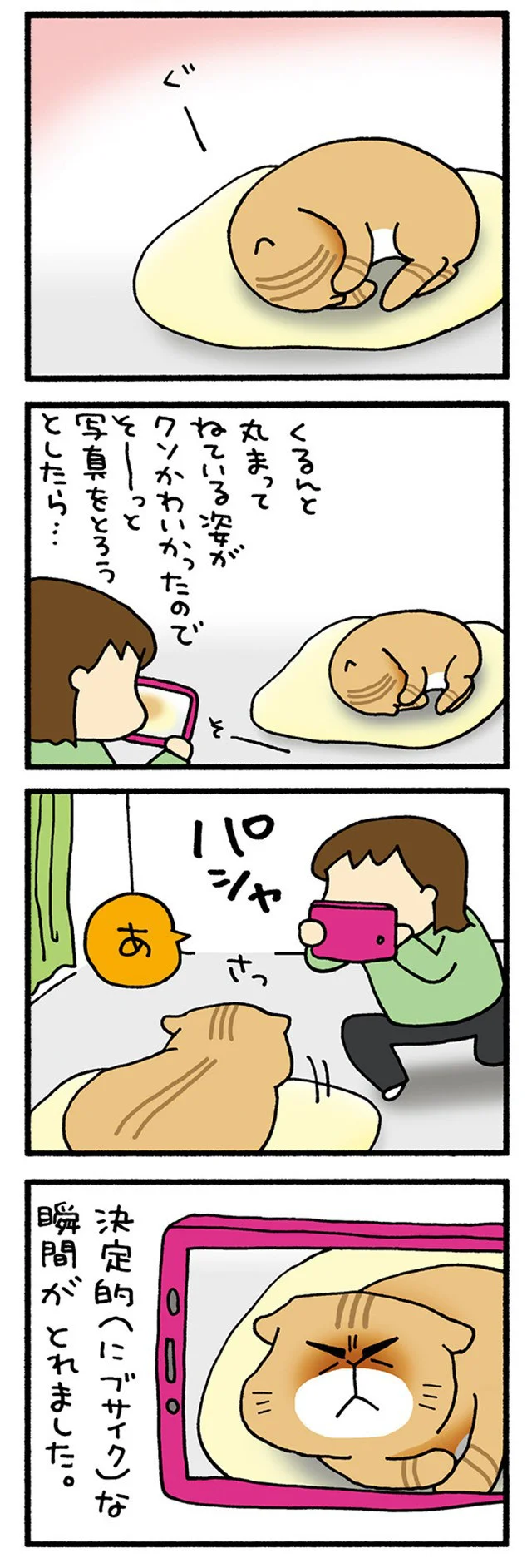 決定的瞬間