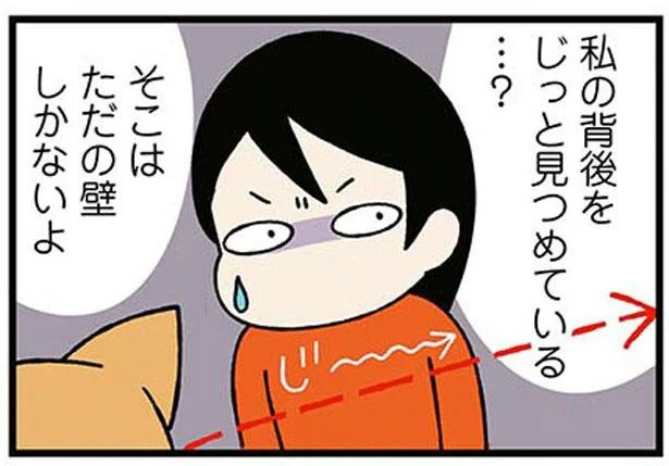 私の背後をじっと見つめている...？壁しかないのに