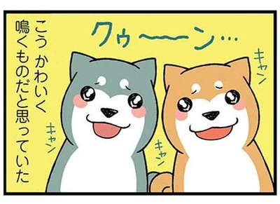 子犬はかわいく鳴くものだと思っていた