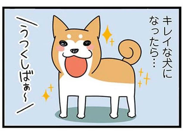 お風呂に入ってキレイな犬になったら...