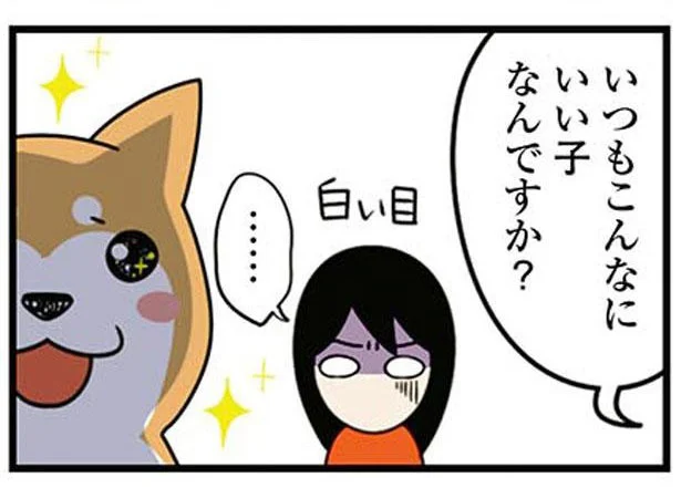 いつもこんなにいい子なんですか?