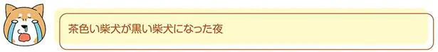 黒い柴犬になった夜
