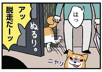 アッ！脱走だーッ