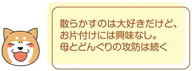 母とどんぐりの攻防は続く