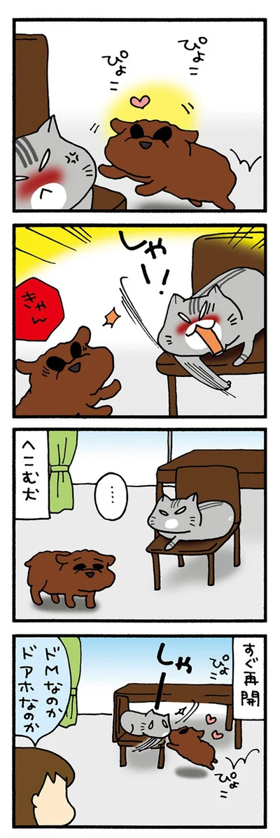 学ばない犬