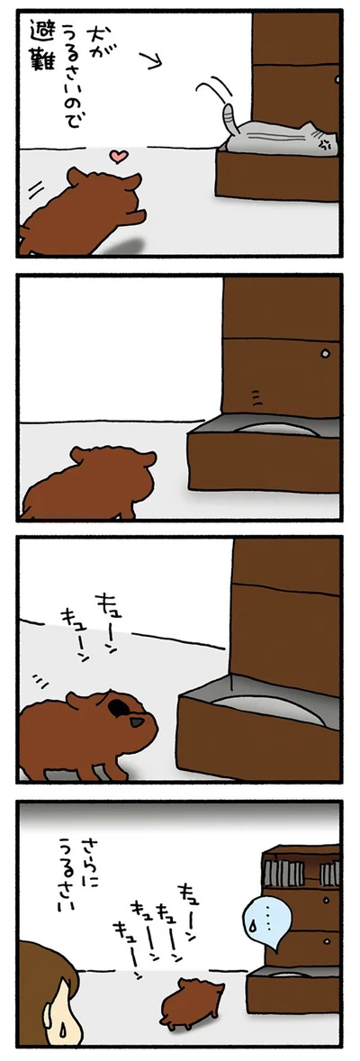 黙らない犬
