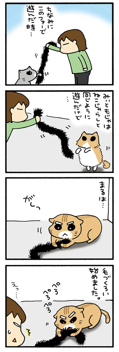 仲間じゃないよ