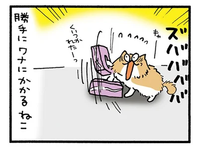 勝手にワナにかかるねこ