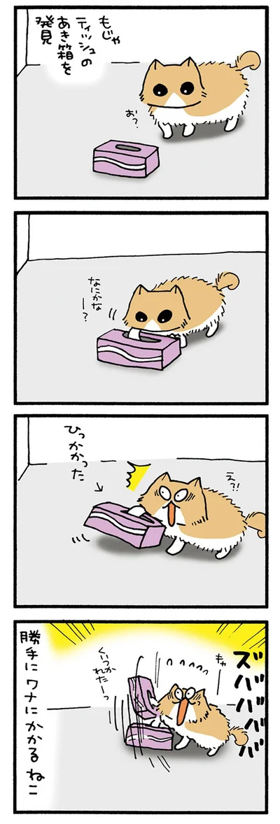 ティッシュ箱ともじゃ
