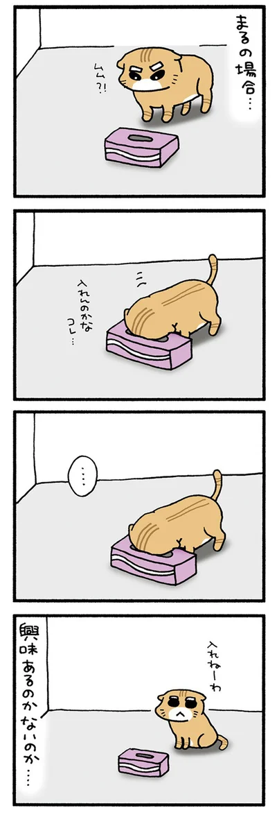 ティッシュ箱とまる