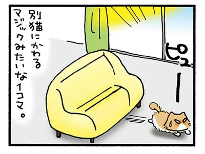 別猫にかわるマジックみたい
