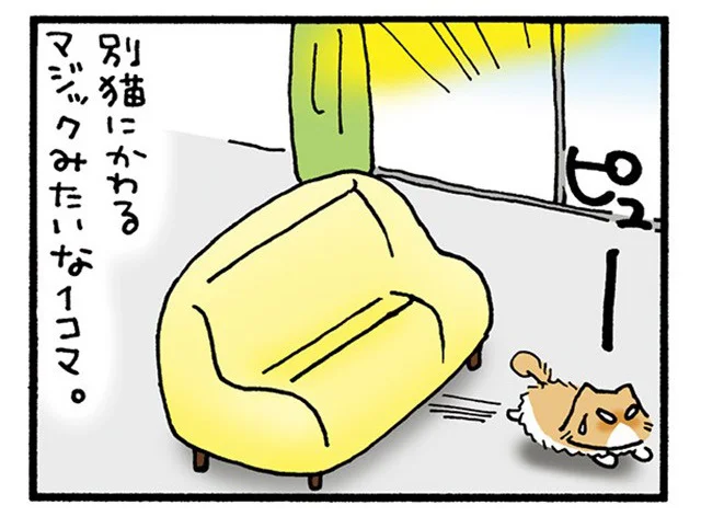 別猫にかわるマジックみたい