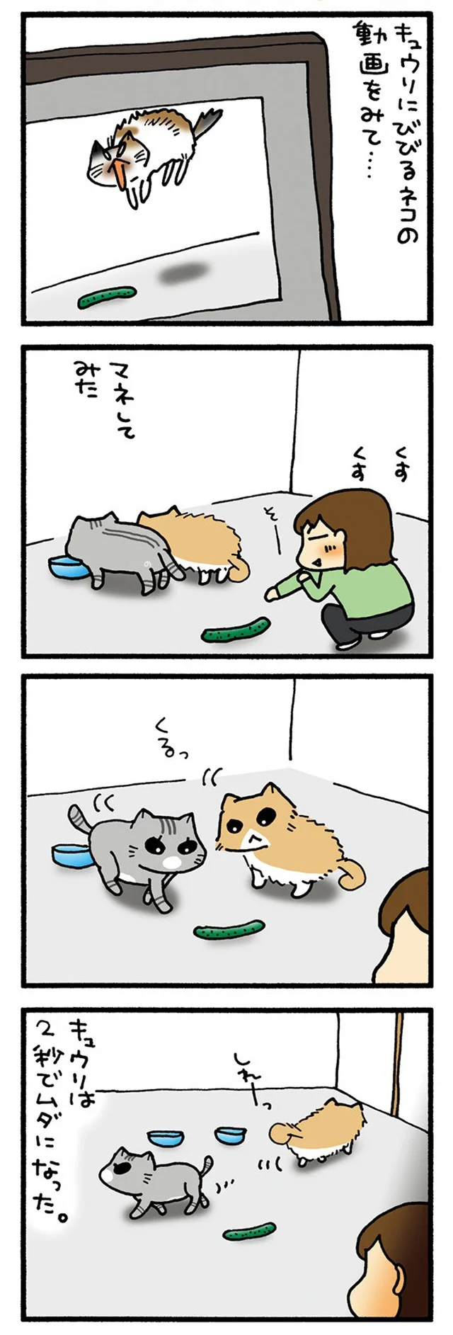 ねこときゅうり　わが家の場合