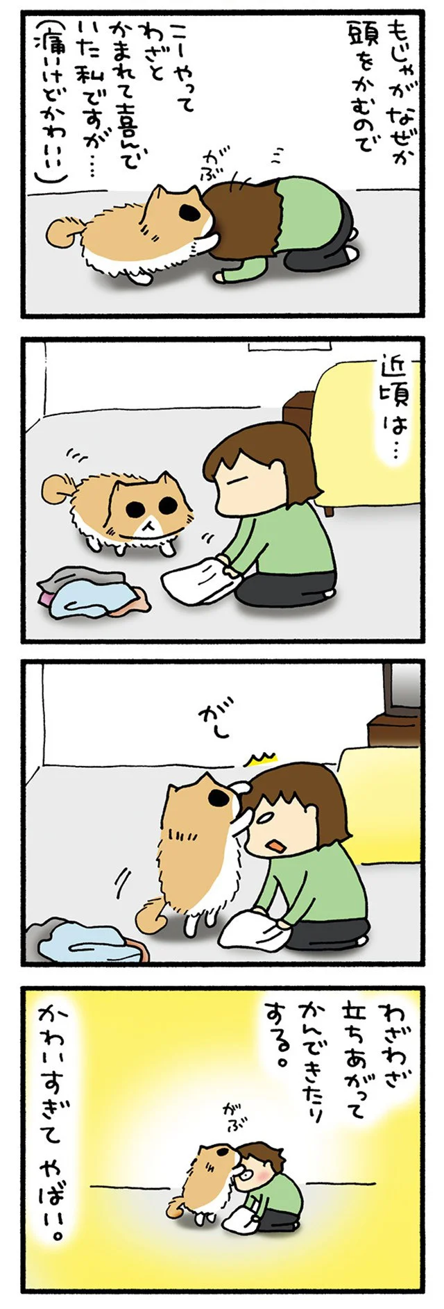 かむもじゃ