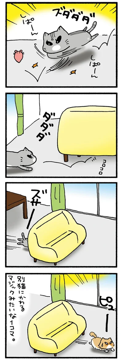 ねこイリュージョン