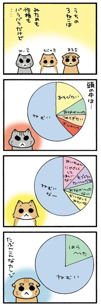 うちの3ねこ