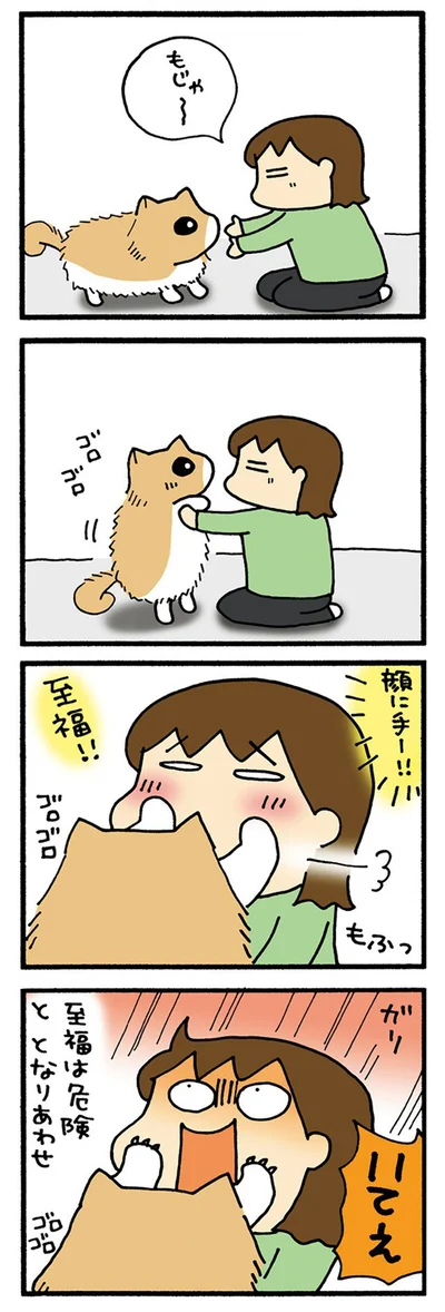 危ない幸せ