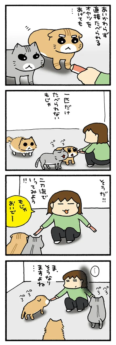 食べられないもじゃ