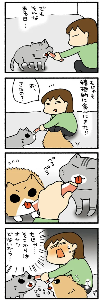 そこちがう
