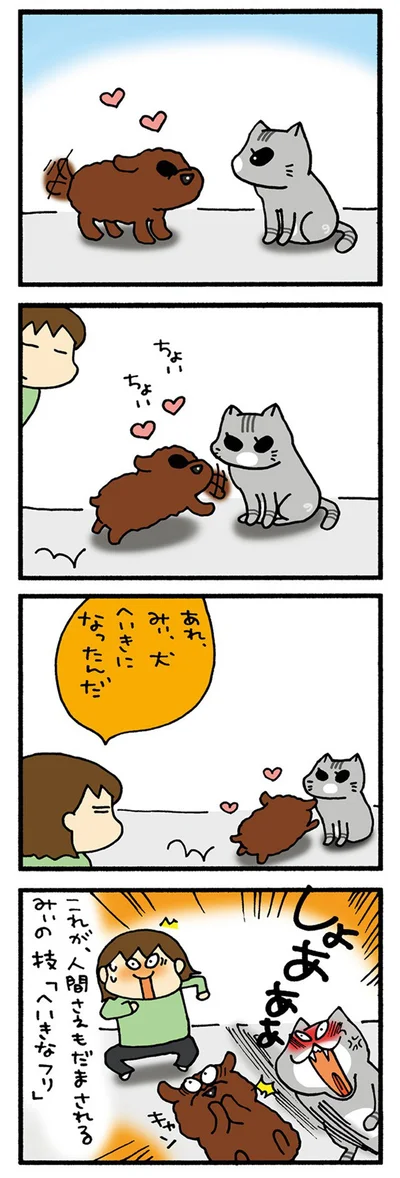 ポーカーフェイスみぃ