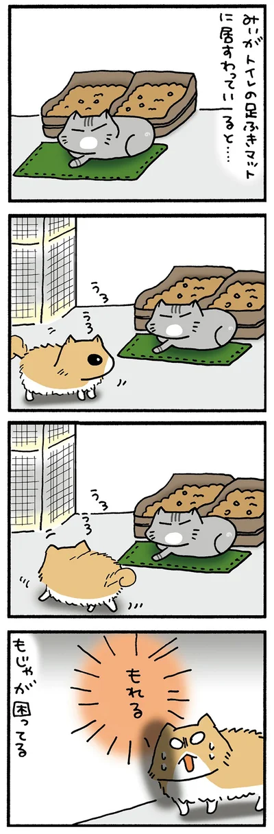 トイレ行きたいもじゃ