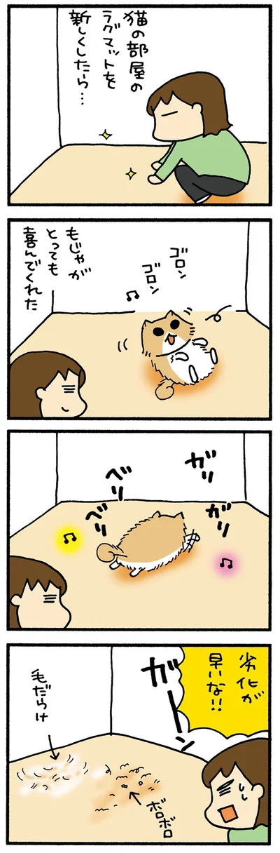 新しいラグ