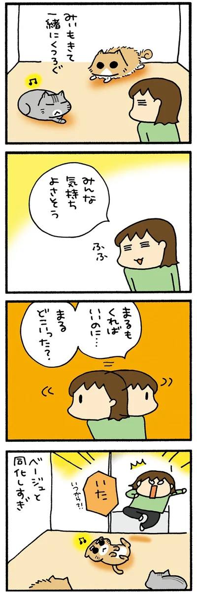 ベージュなまる