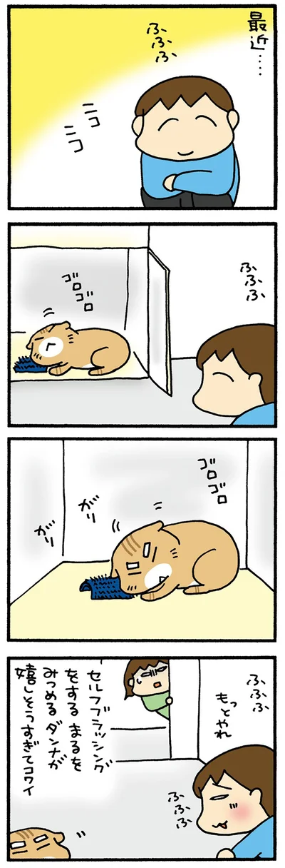 父のたのしみ