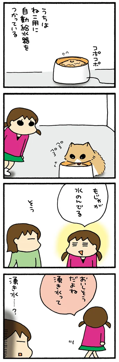 ねこの水