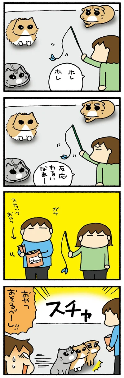 ねこの反応