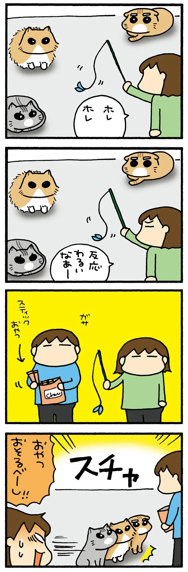 ねこの反応