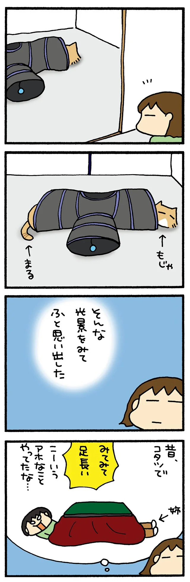 胴長あそび