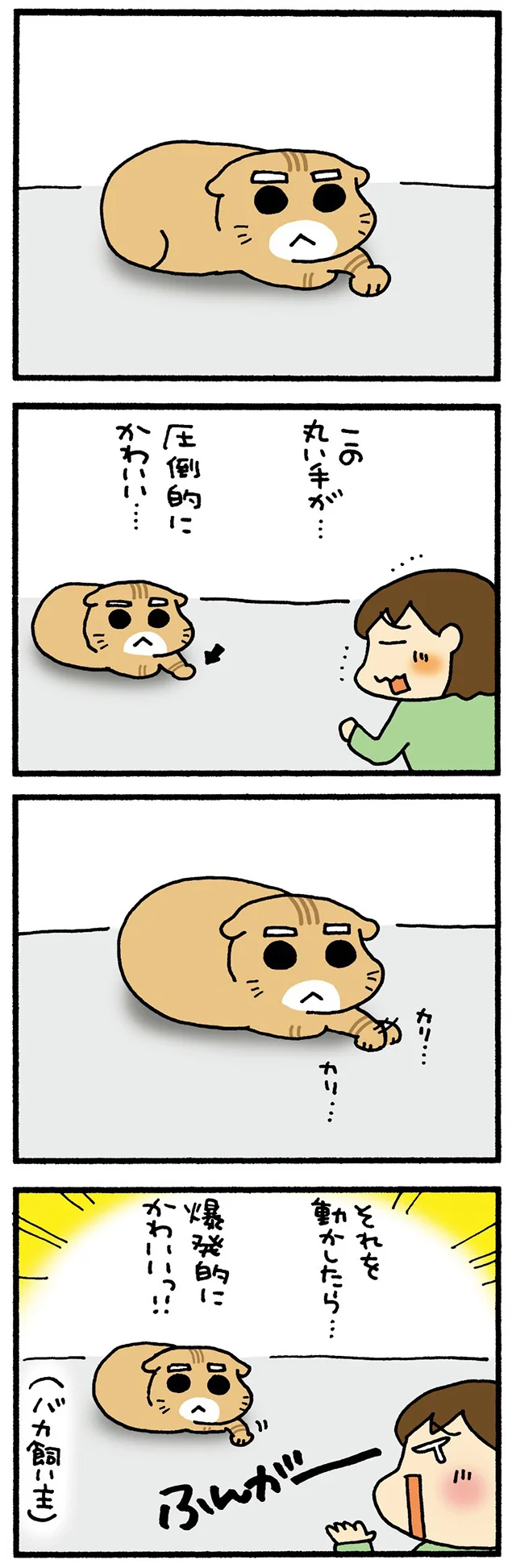 まるのおてて