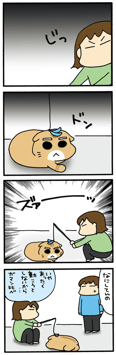 まると勝負