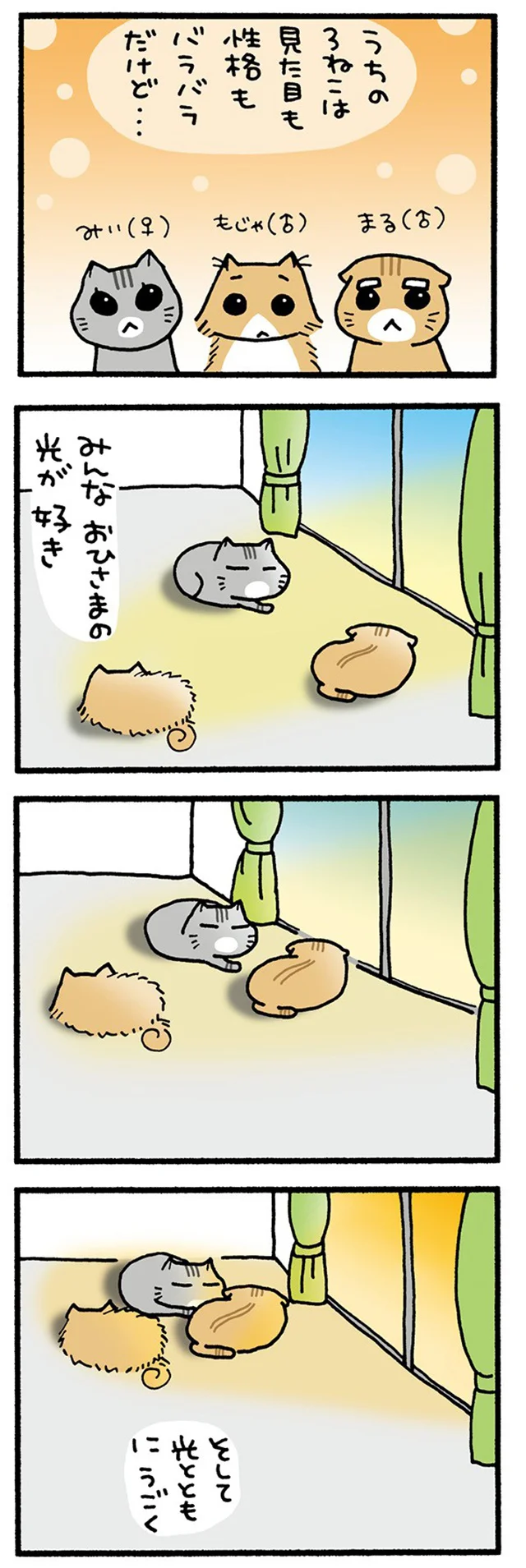 うちの3ねこ