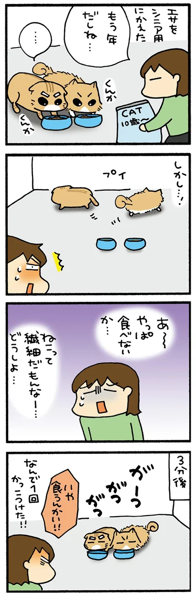 新しいえさ