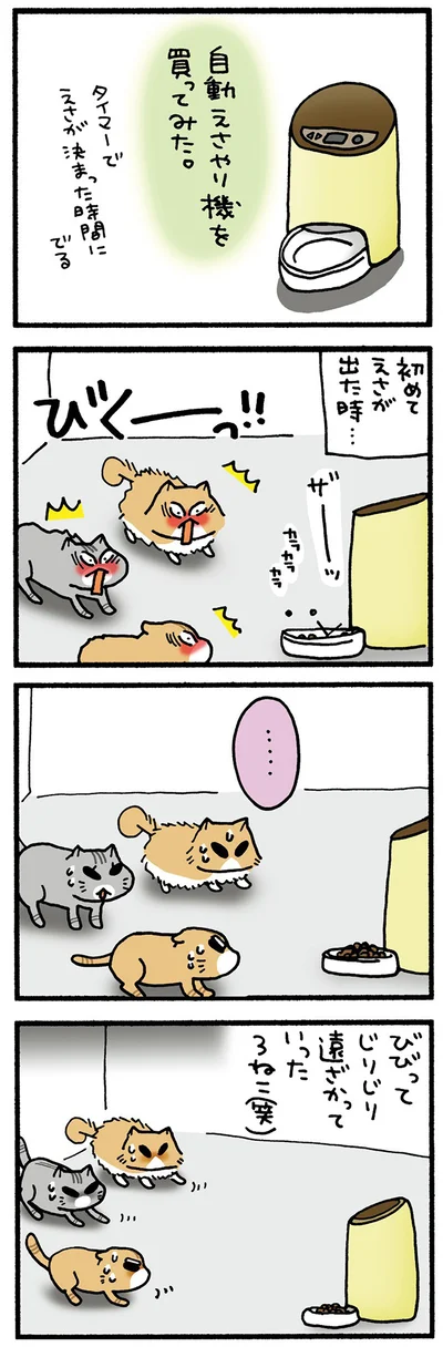 新しいエサやり機