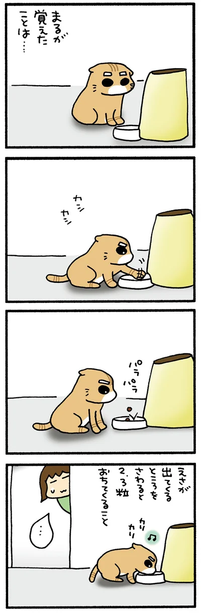 おぼえたまる