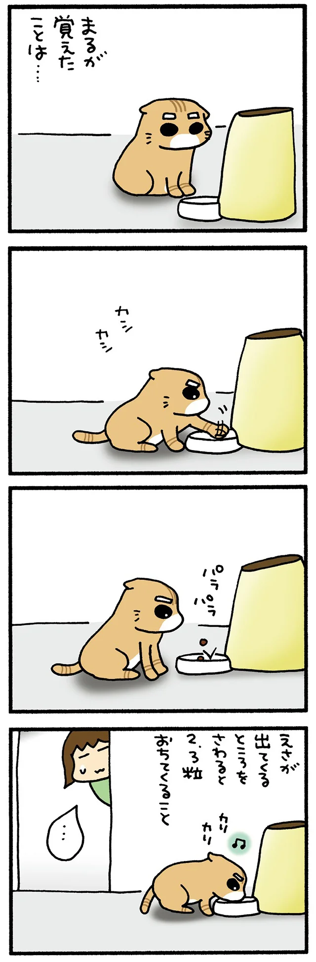 おぼえたまる